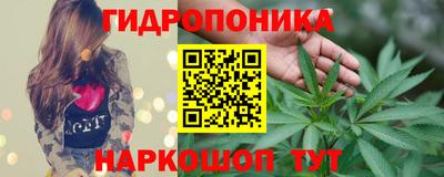 крисы Донской