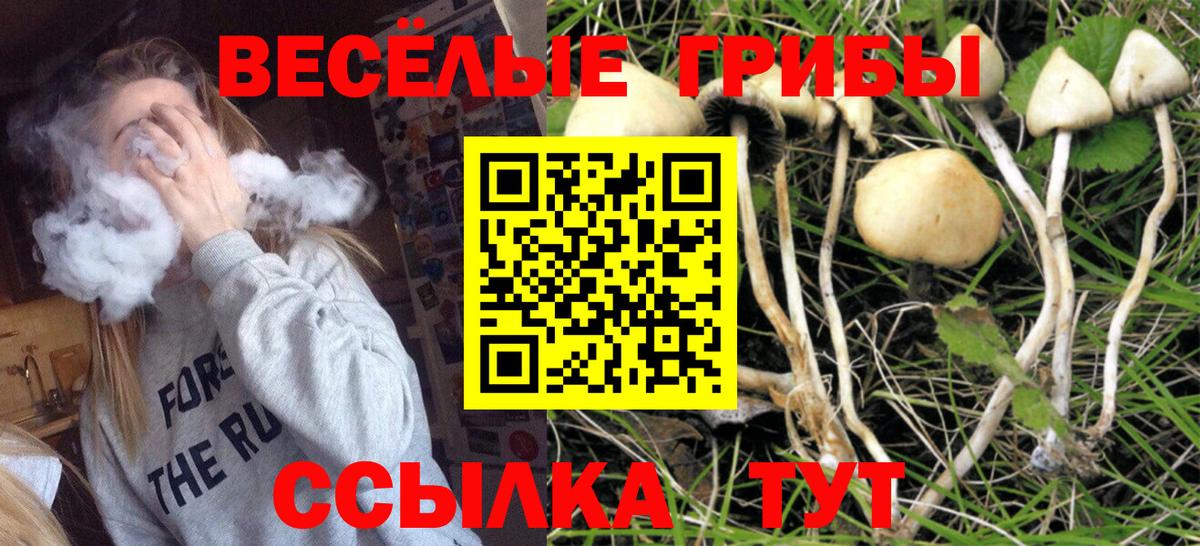 Галлюциногенные грибы Cubensis Медногорск
